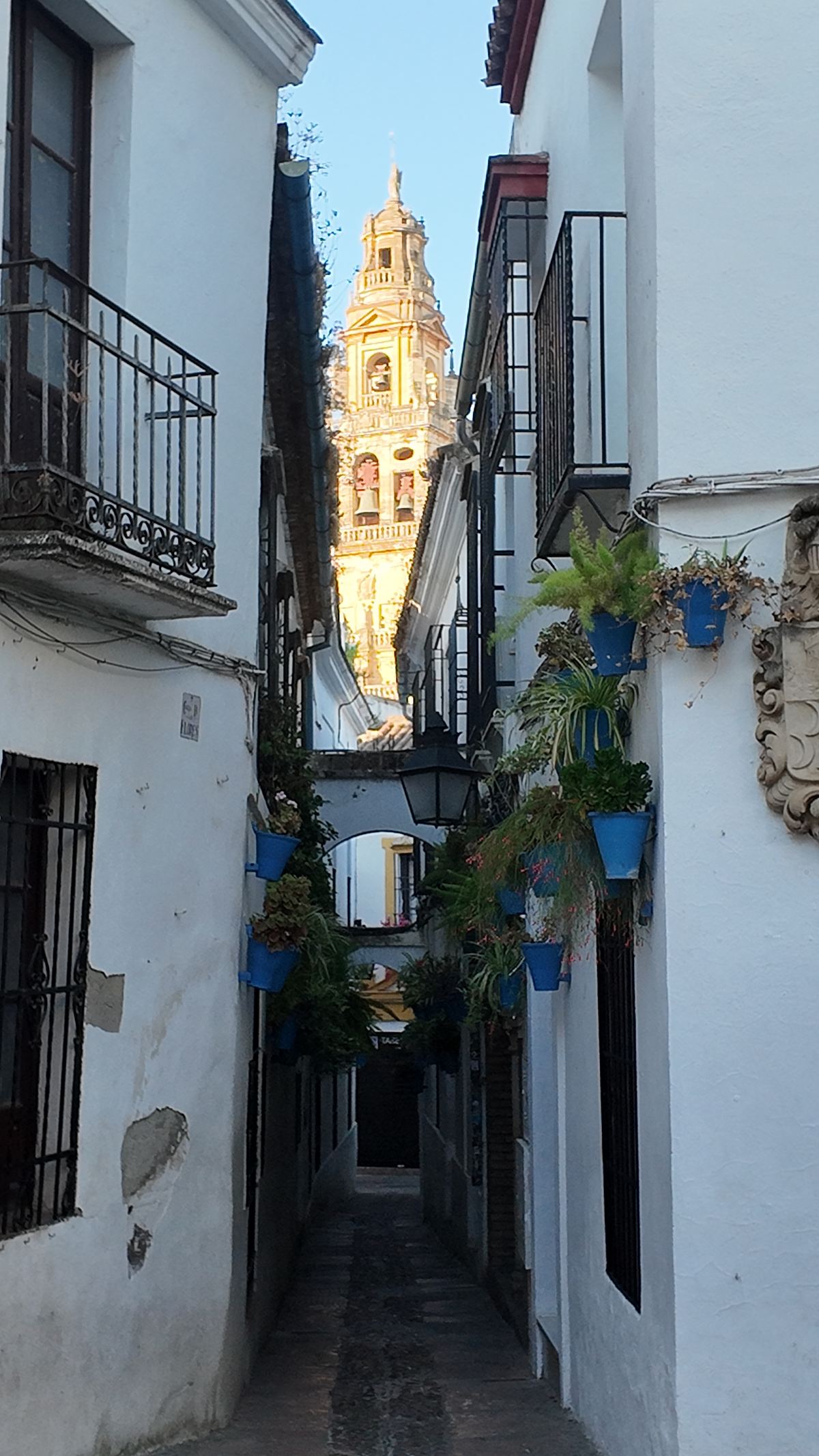 La Calleja de las Flores con la torre de la Mezquita-Catedral