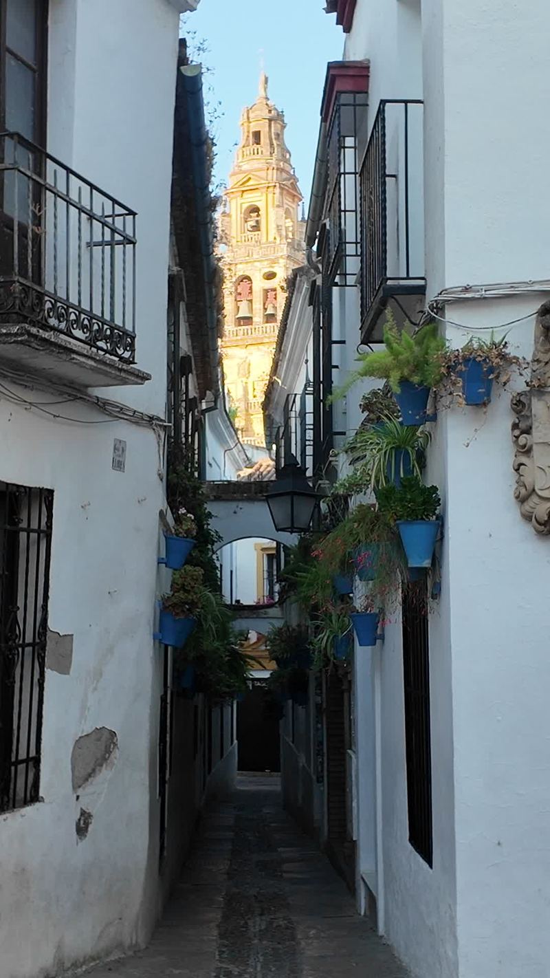 La Calleja de las Flores, con macetas azules y la torre de la Mezquita-Catedral al fondo