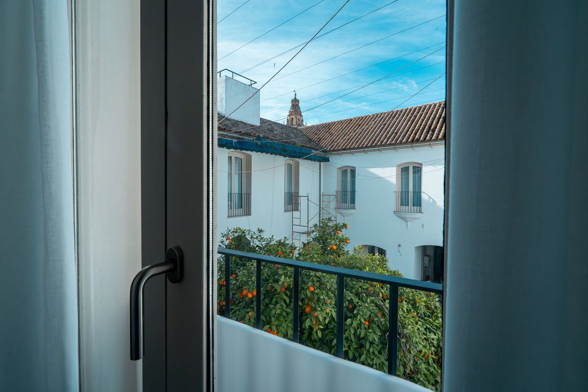 El patio de la casa y su naranjo, vistos desde una ventana